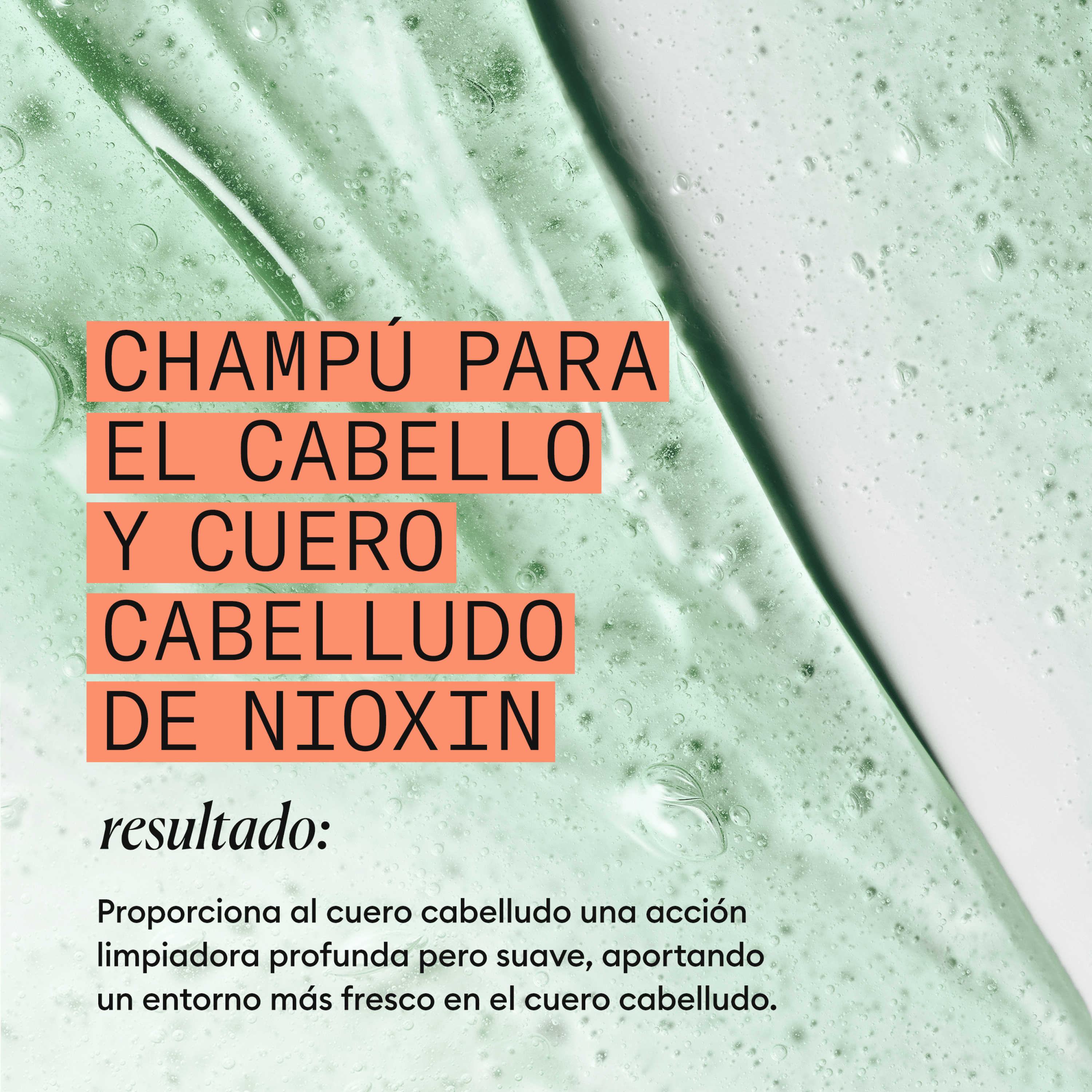 Nioxin Champú SYSTEM 4 CLEANSER Champú Step 1 Cabello Teñido 1000ml Roberta Beauty Club Tienda Online Productos de Peluqueria